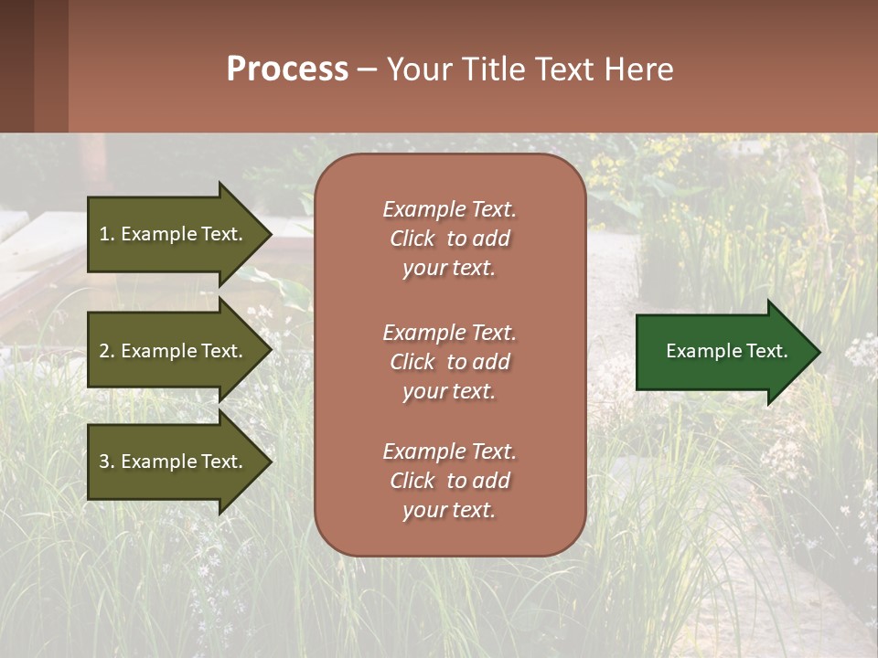 A Garden With Lots Of Plants And Water PowerPoint Template