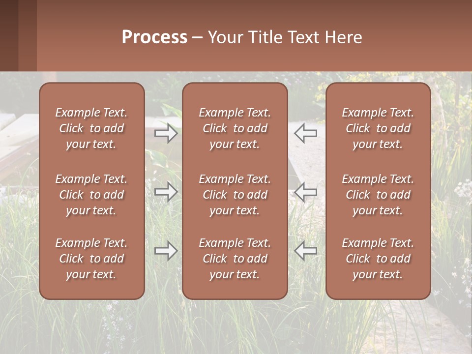 A Garden With Lots Of Plants And Water PowerPoint Template