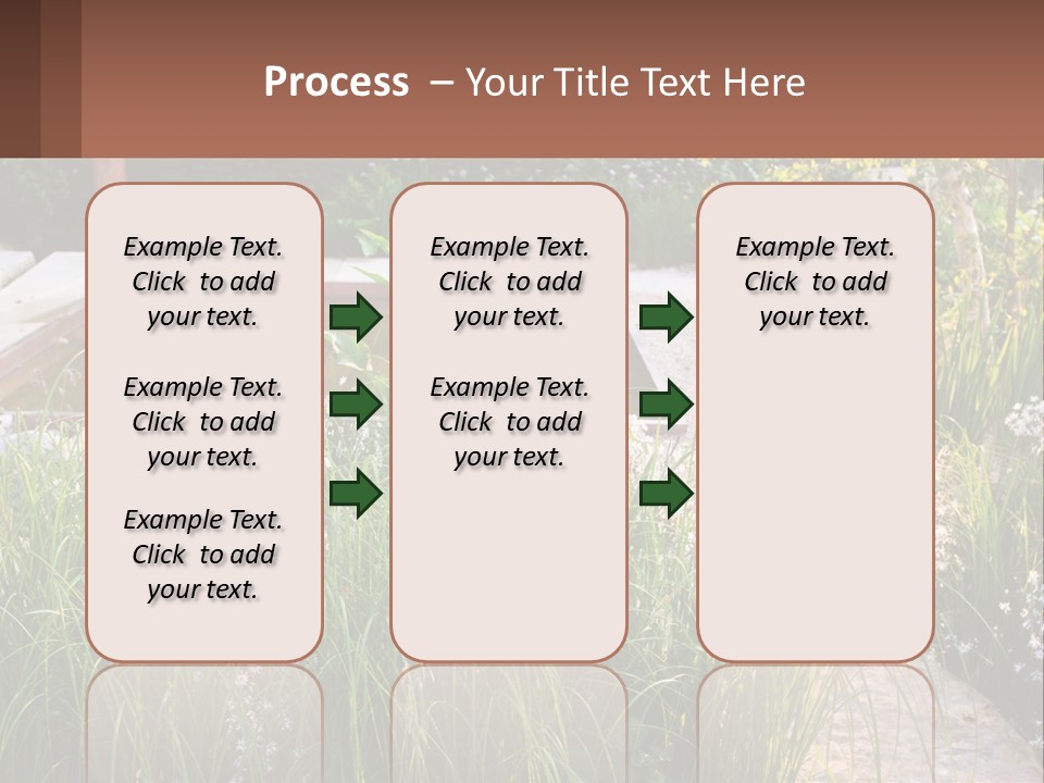 A Garden With Lots Of Plants And Water PowerPoint Template