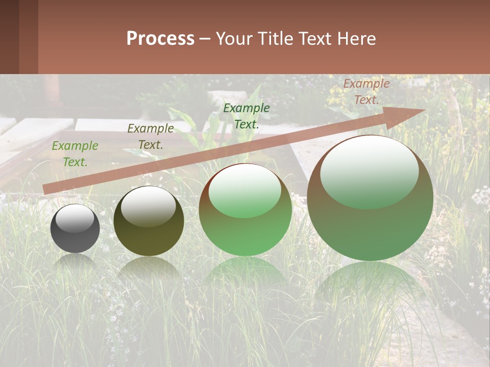 A Garden With Lots Of Plants And Water PowerPoint Template