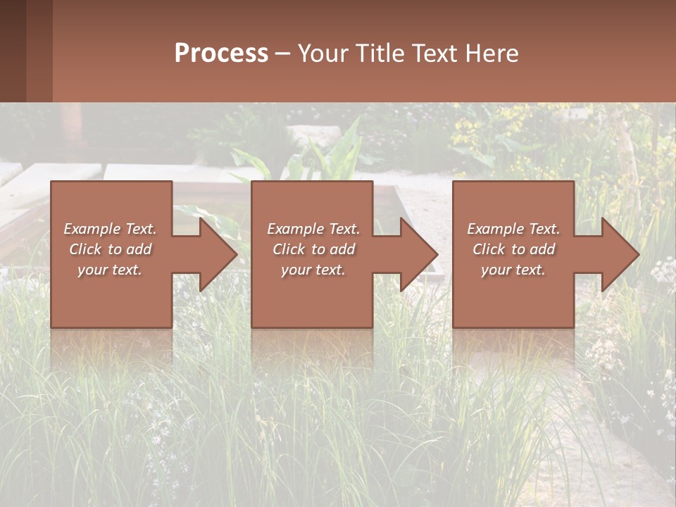 A Garden With Lots Of Plants And Water PowerPoint Template