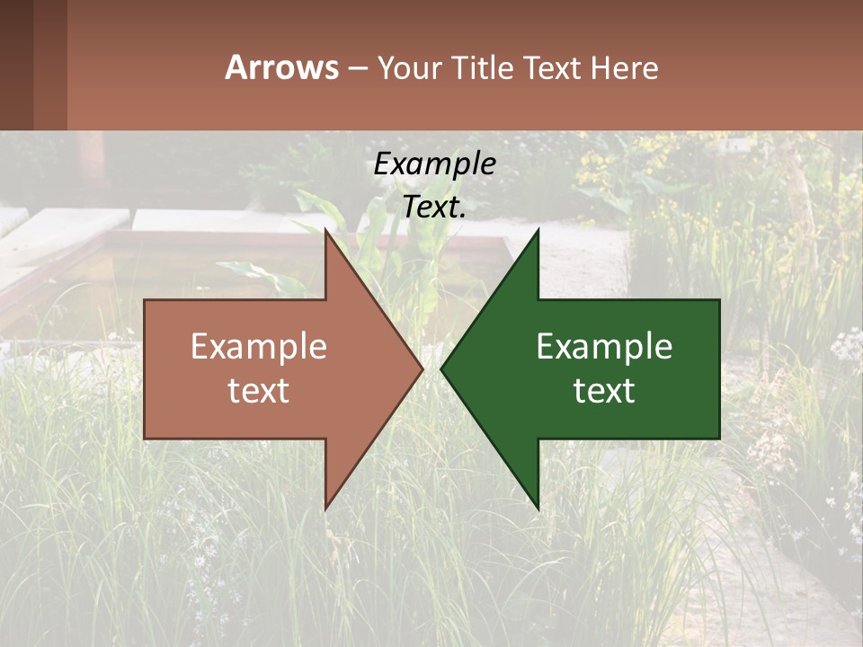 A Garden With Lots Of Plants And Water PowerPoint Template