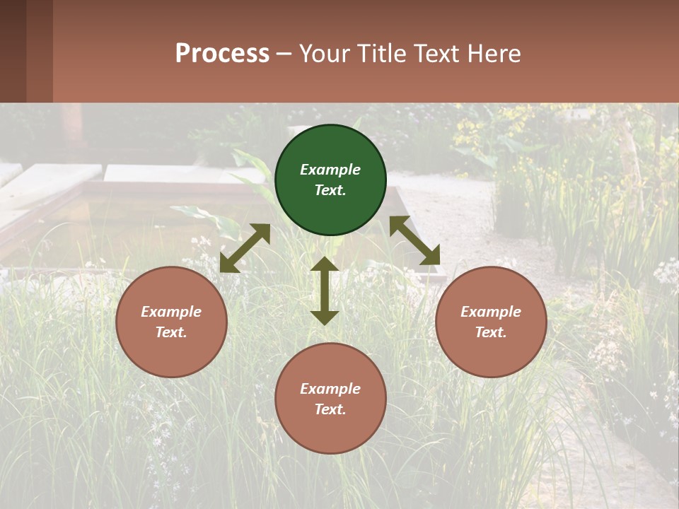A Garden With Lots Of Plants And Water PowerPoint Template