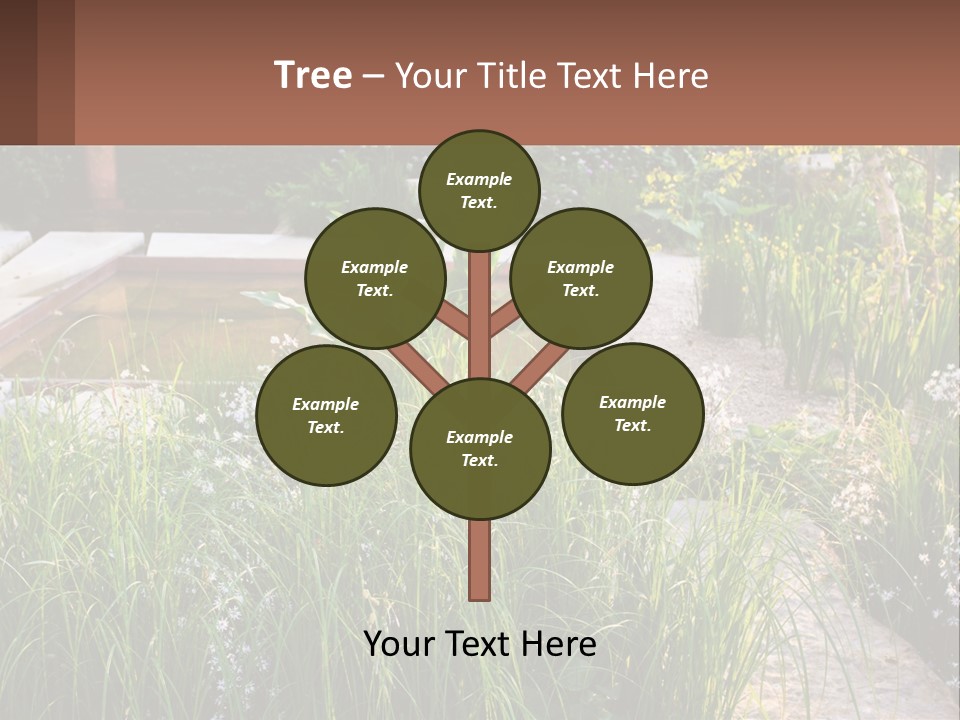 A Garden With Lots Of Plants And Water PowerPoint Template