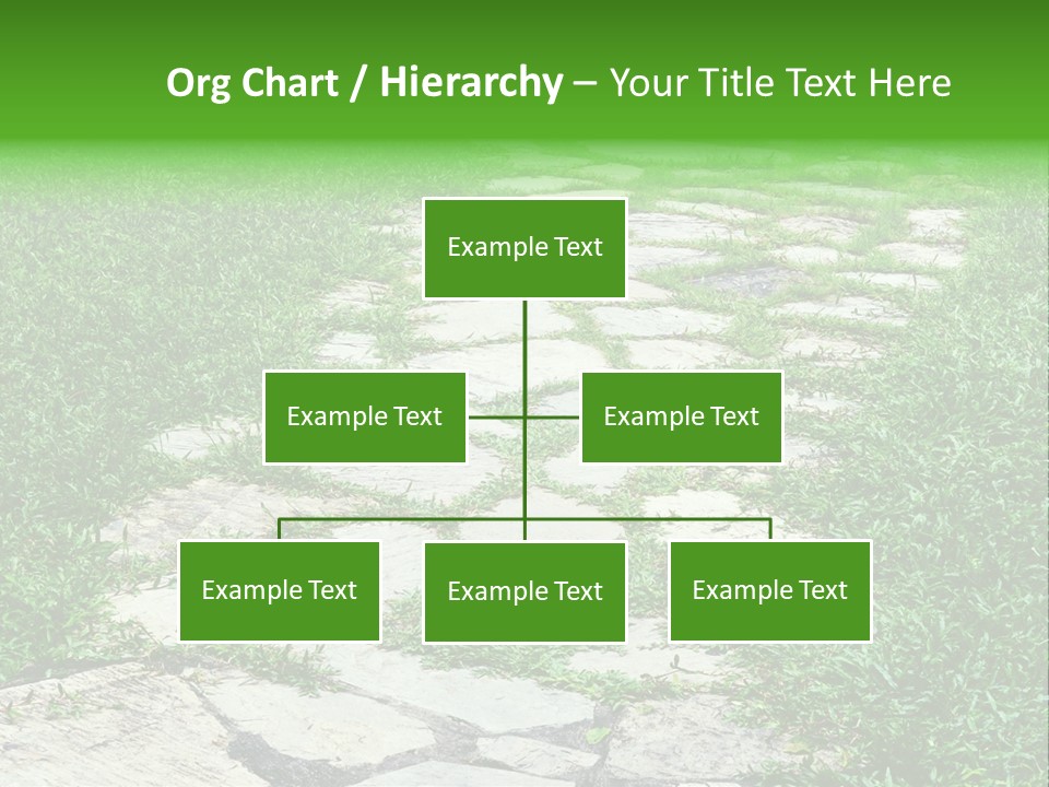 A Stone Path In The Middle Of A Grassy Field PowerPoint Template