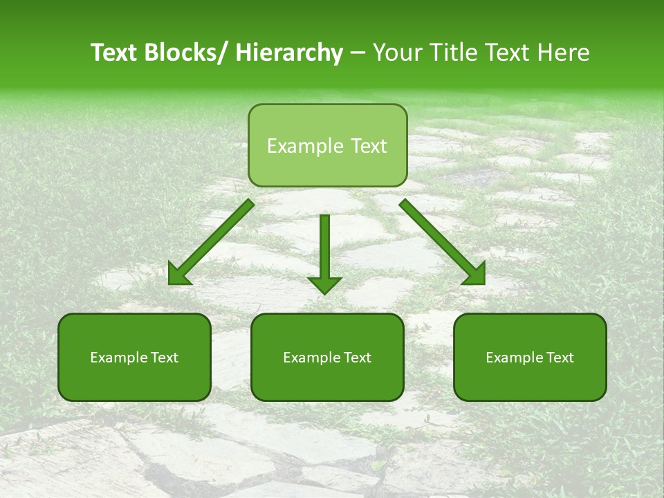 A Stone Path In The Middle Of A Grassy Field PowerPoint Template