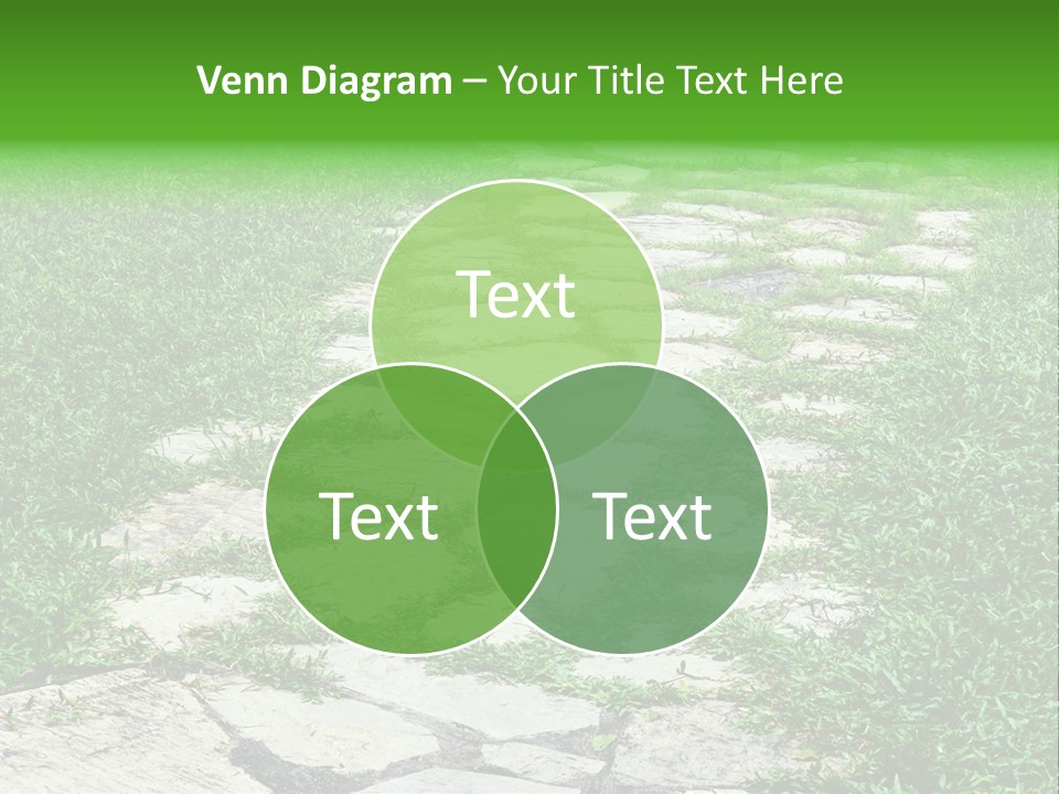 A Stone Path In The Middle Of A Grassy Field PowerPoint Template