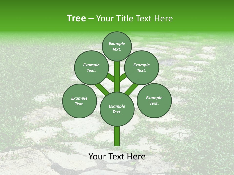 A Stone Path In The Middle Of A Grassy Field PowerPoint Template