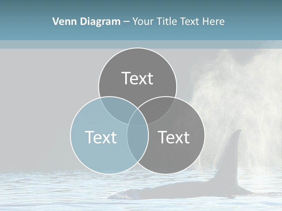 A Whale In The Water With A Lot Of Smoke Coming Out Of It's PowerPoint Template