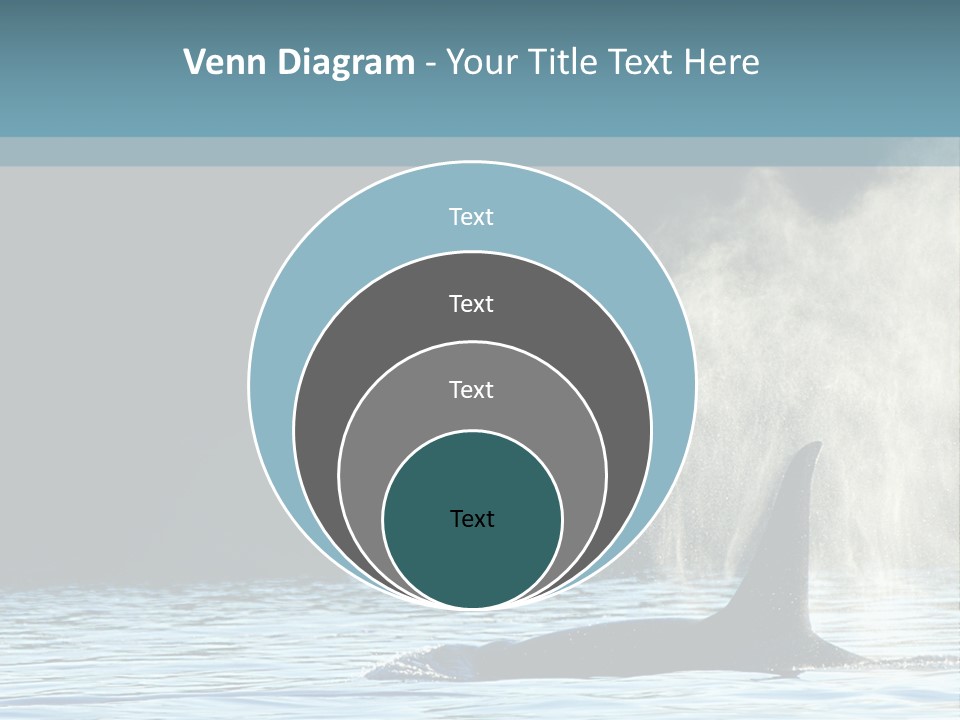 A Whale In The Water With A Lot Of Smoke Coming Out Of It's PowerPoint Template