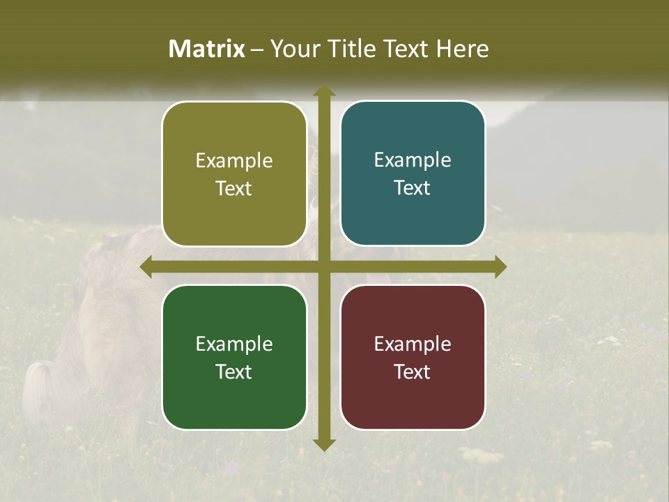 Two Dogs Are Standing In A Field Of Grass PowerPoint Template