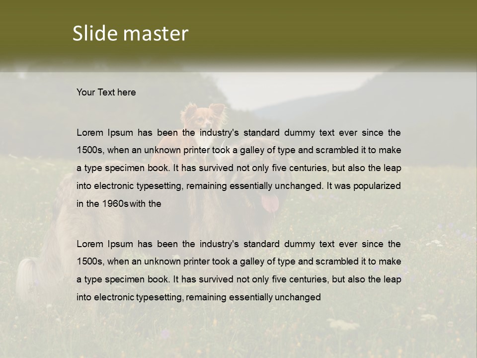 Two Dogs Are Standing In A Field Of Grass PowerPoint Template