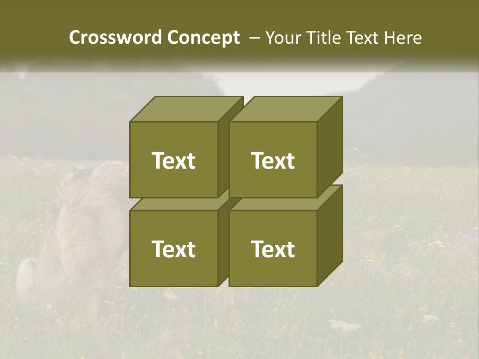 Two Dogs Are Standing In A Field Of Grass PowerPoint Template