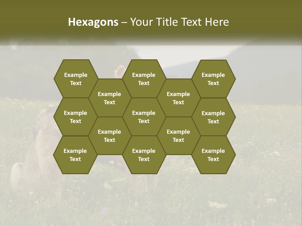 Two Dogs Are Standing In A Field Of Grass PowerPoint Template