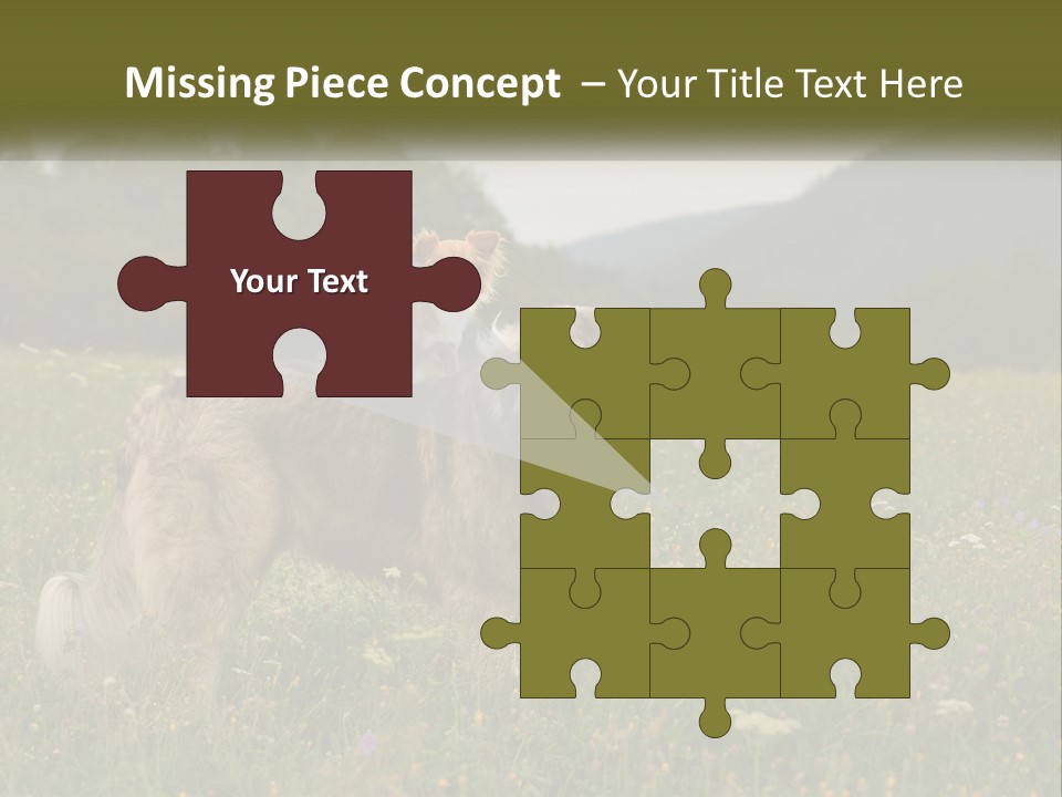 Two Dogs Are Standing In A Field Of Grass PowerPoint Template