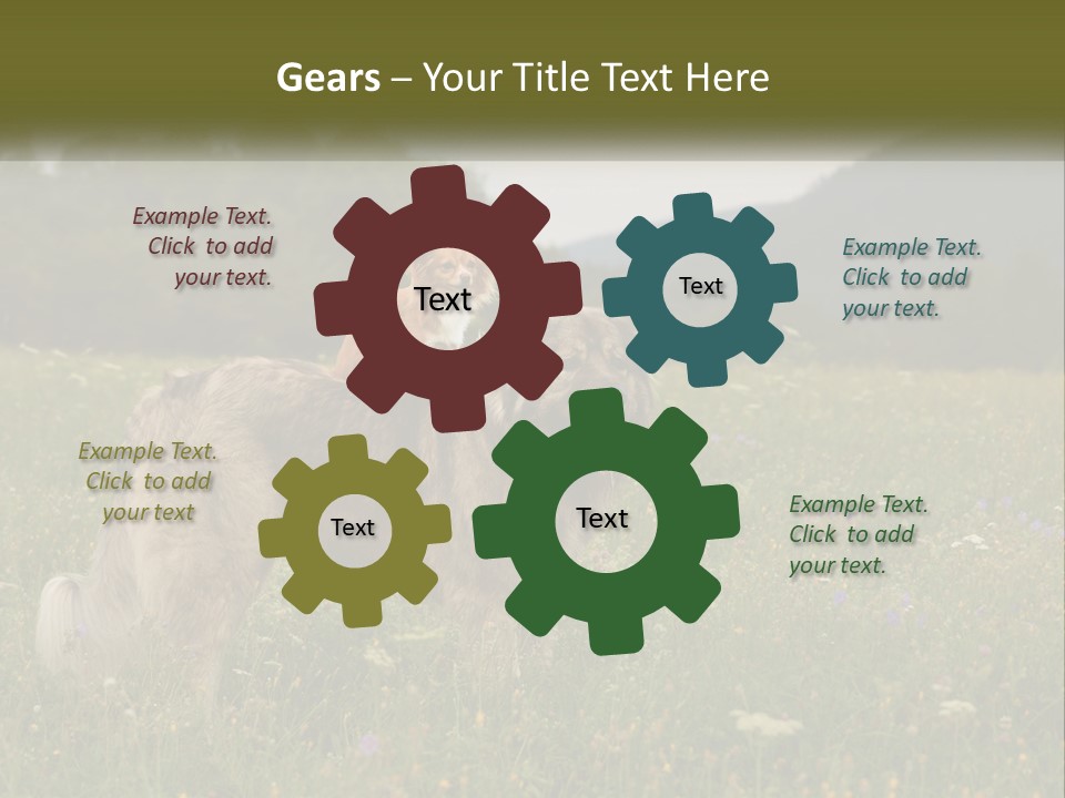 Two Dogs Are Standing In A Field Of Grass PowerPoint Template