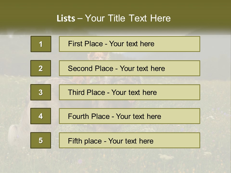 Two Dogs Are Standing In A Field Of Grass PowerPoint Template