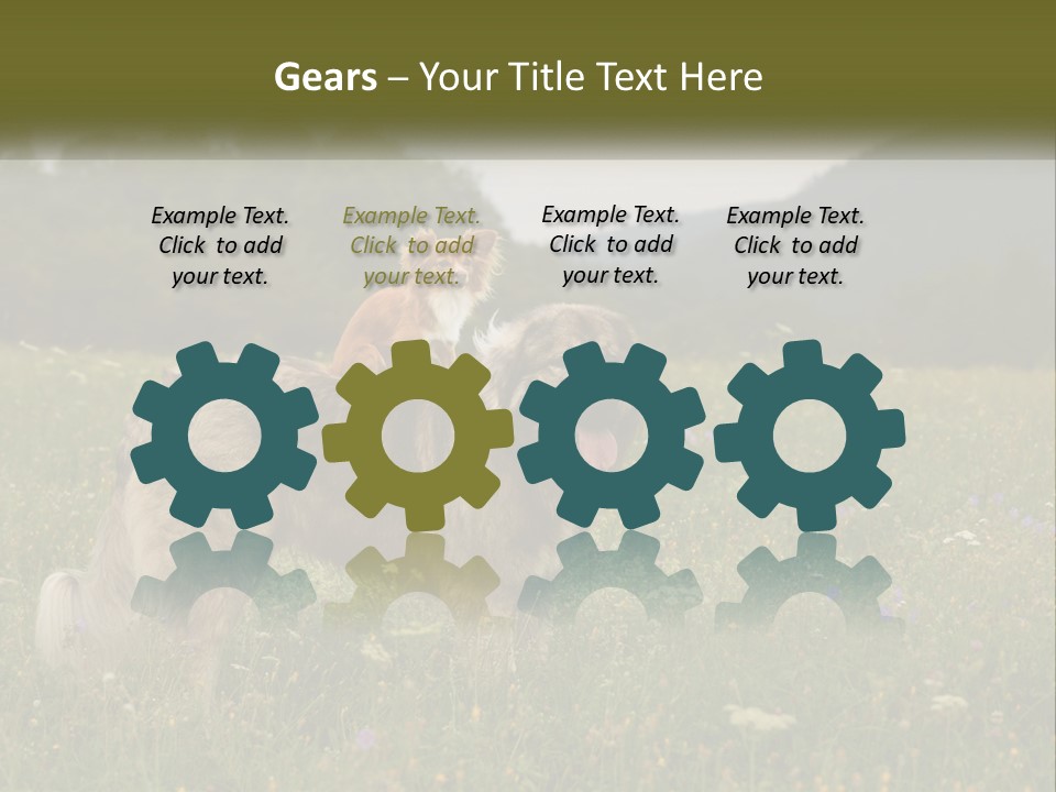 Two Dogs Are Standing In A Field Of Grass PowerPoint Template