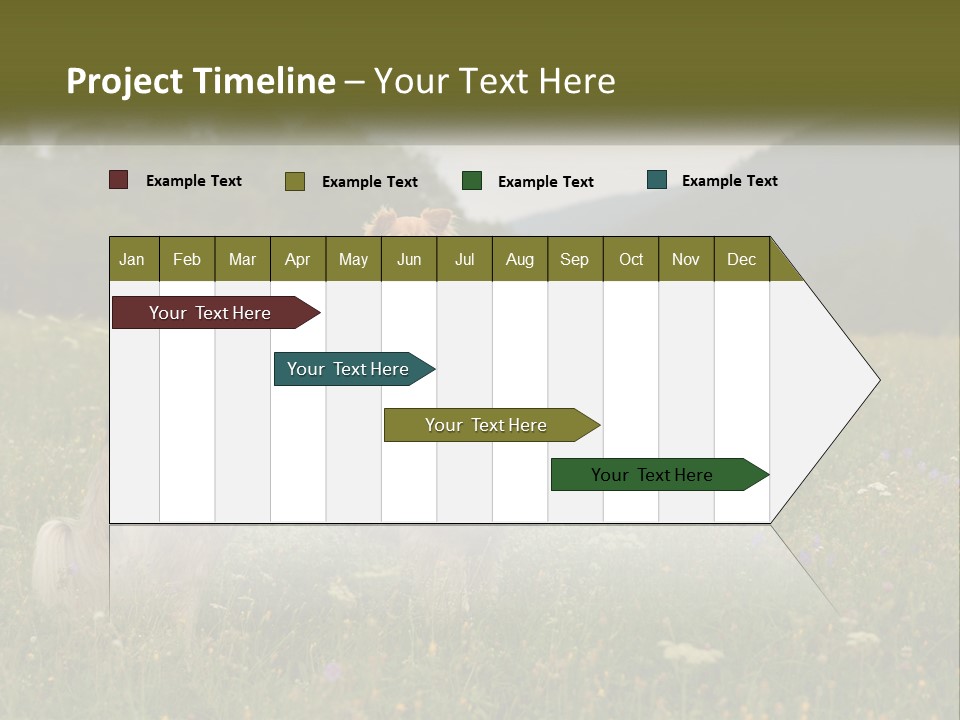 Two Dogs Are Standing In A Field Of Grass PowerPoint Template