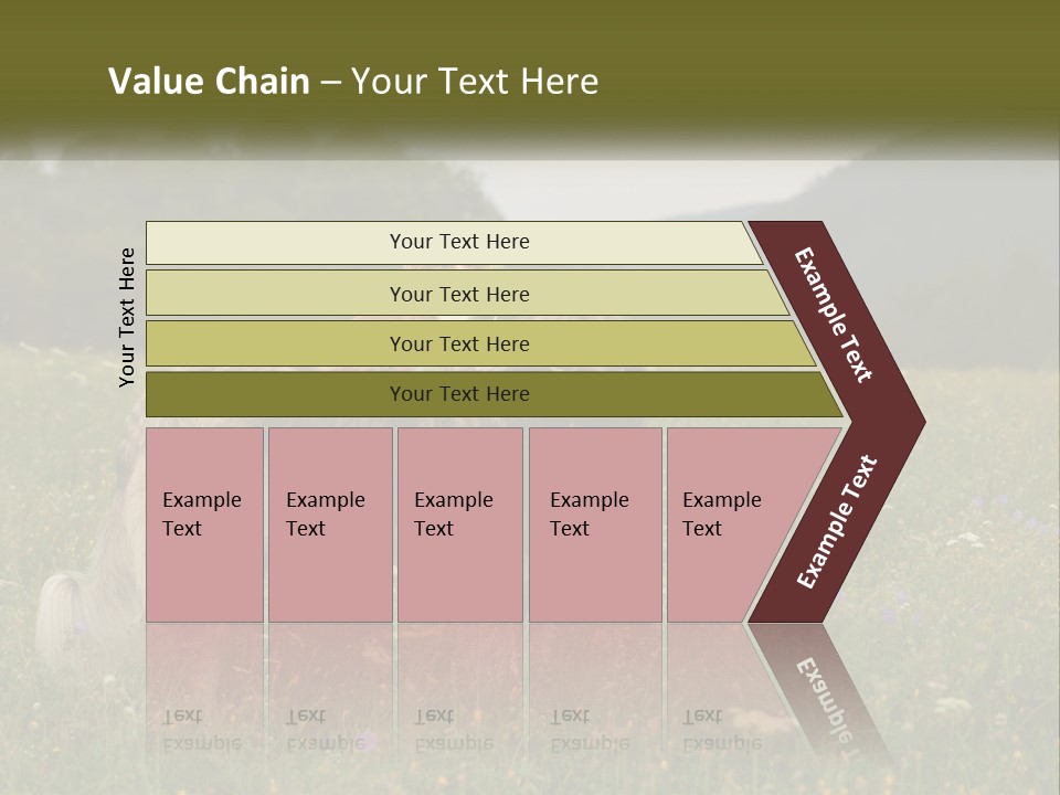 Two Dogs Are Standing In A Field Of Grass PowerPoint Template