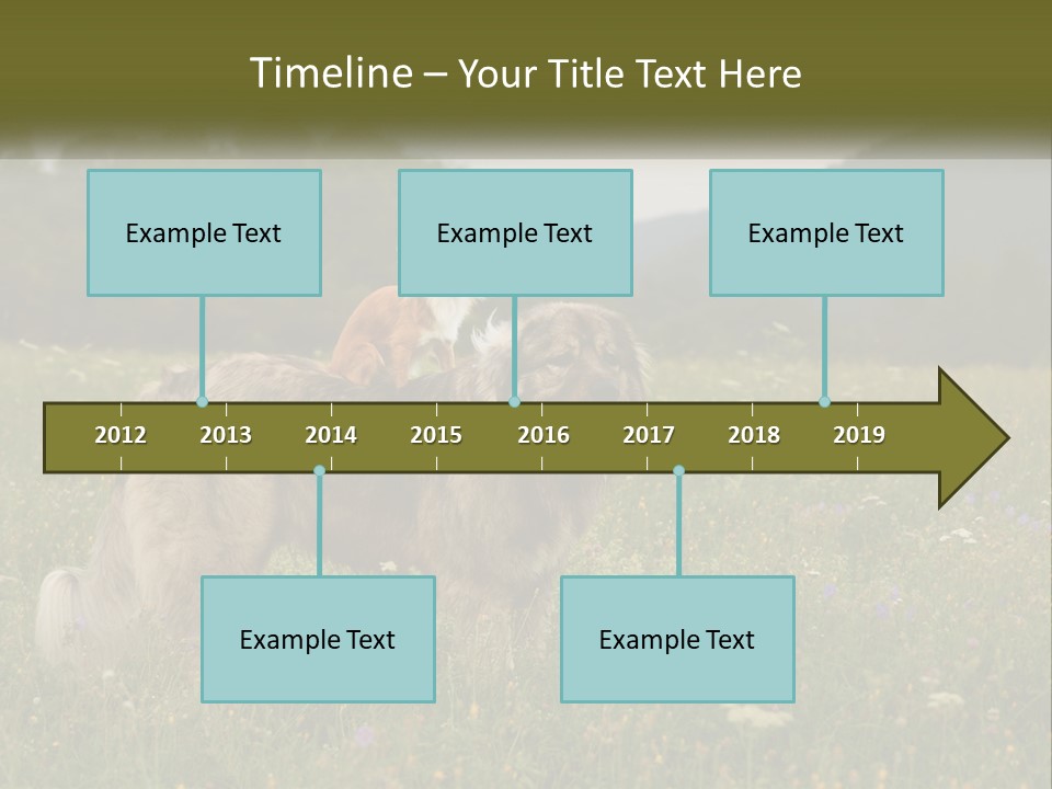 Two Dogs Are Standing In A Field Of Grass PowerPoint Template