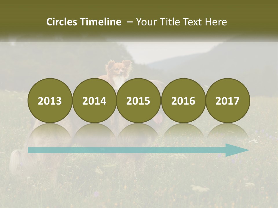 Two Dogs Are Standing In A Field Of Grass PowerPoint Template