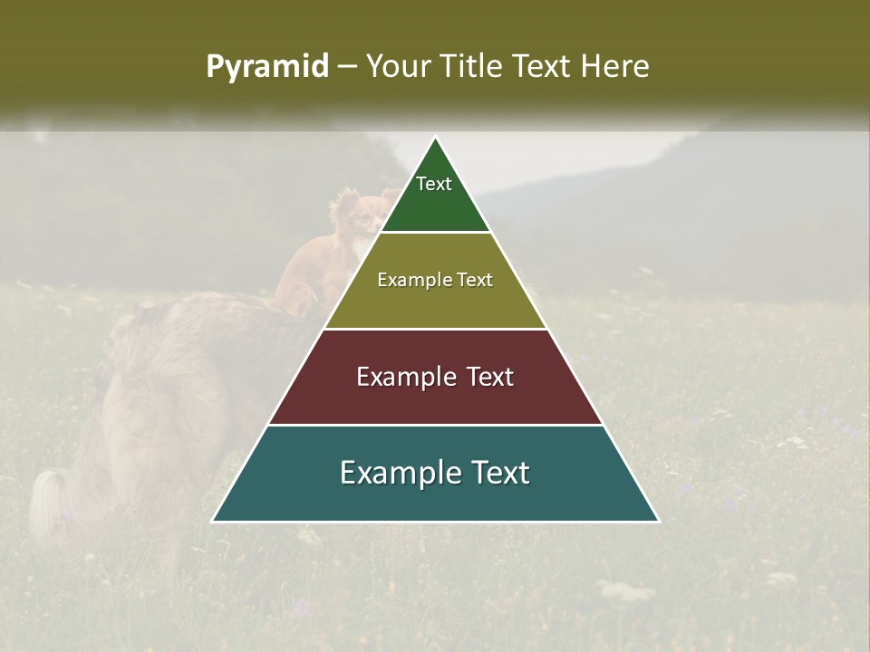 Two Dogs Are Standing In A Field Of Grass PowerPoint Template