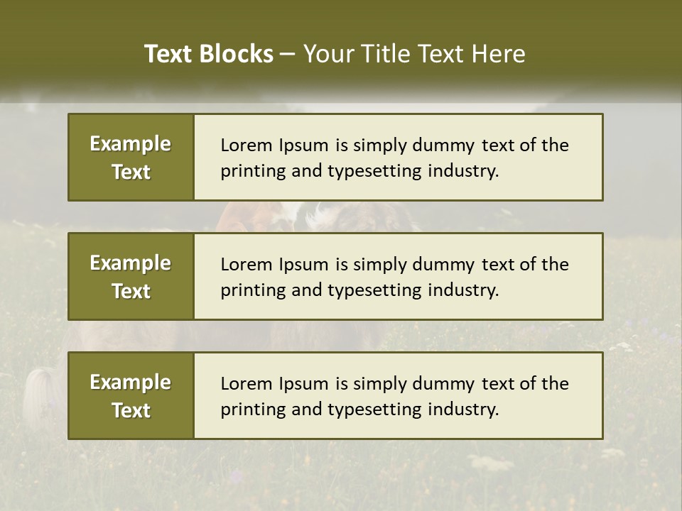 Two Dogs Are Standing In A Field Of Grass PowerPoint Template