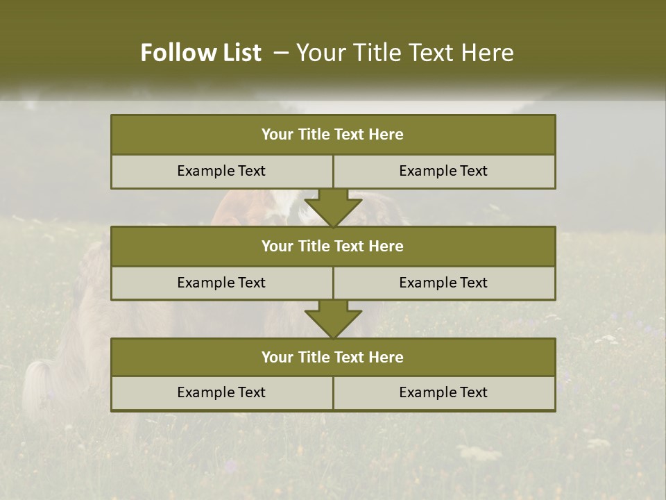 Two Dogs Are Standing In A Field Of Grass PowerPoint Template
