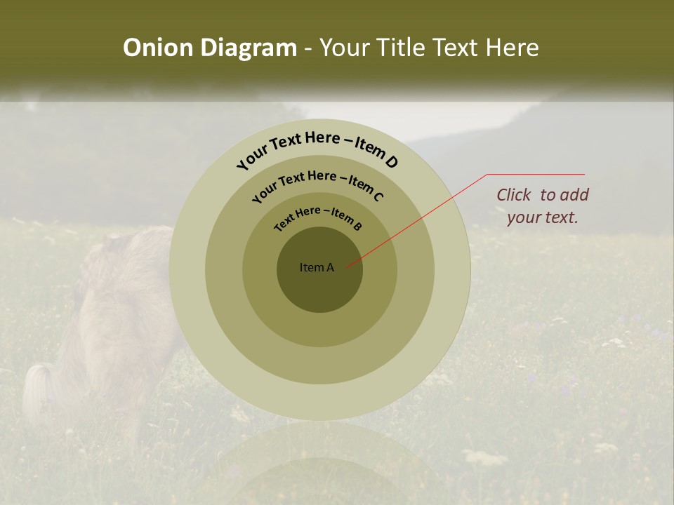 Two Dogs Are Standing In A Field Of Grass PowerPoint Template