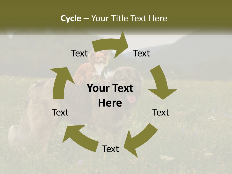 Two Dogs Are Standing In A Field Of Grass PowerPoint Template