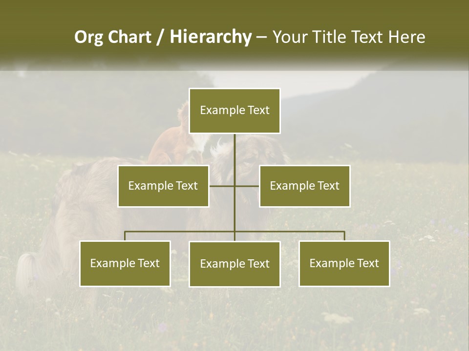 Two Dogs Are Standing In A Field Of Grass PowerPoint Template