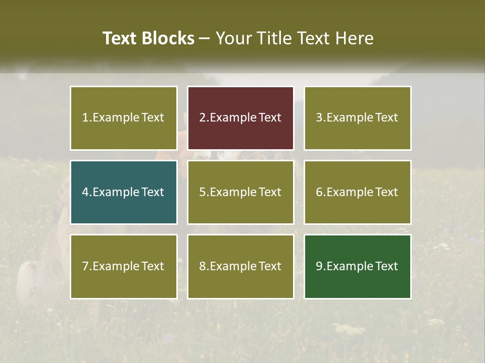 Two Dogs Are Standing In A Field Of Grass PowerPoint Template