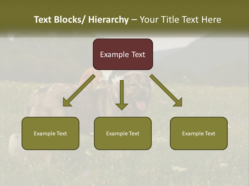 Two Dogs Are Standing In A Field Of Grass PowerPoint Template