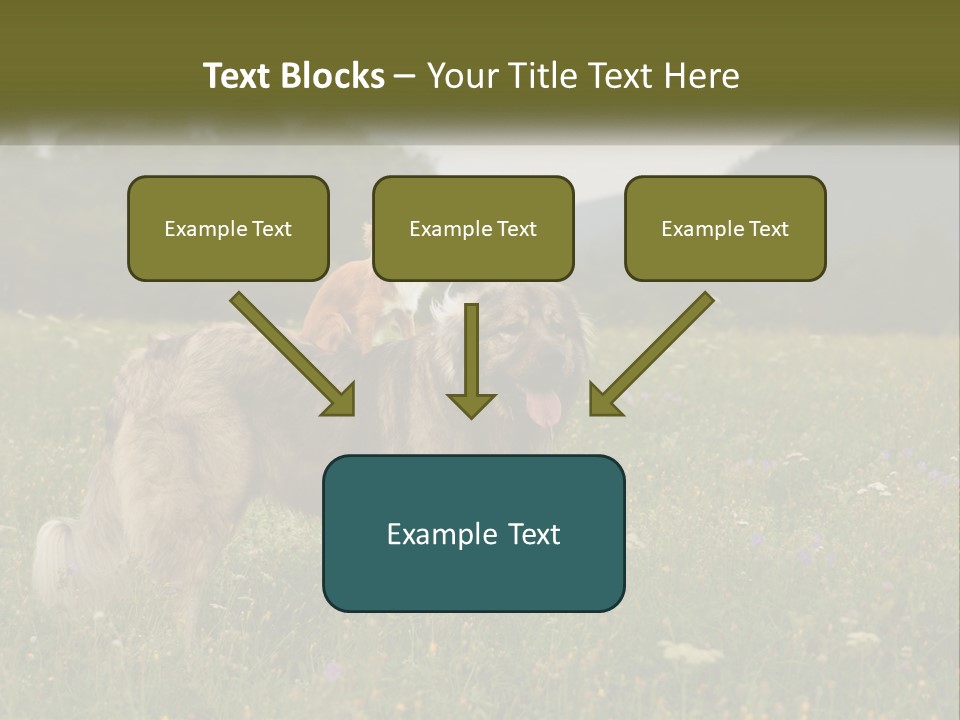 Two Dogs Are Standing In A Field Of Grass PowerPoint Template
