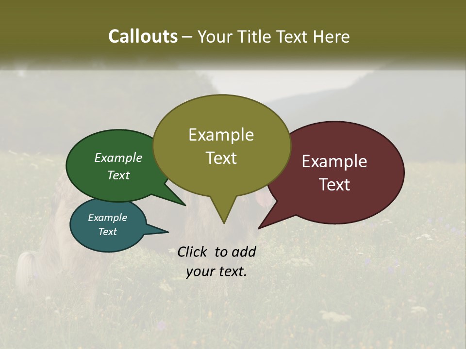 Two Dogs Are Standing In A Field Of Grass PowerPoint Template