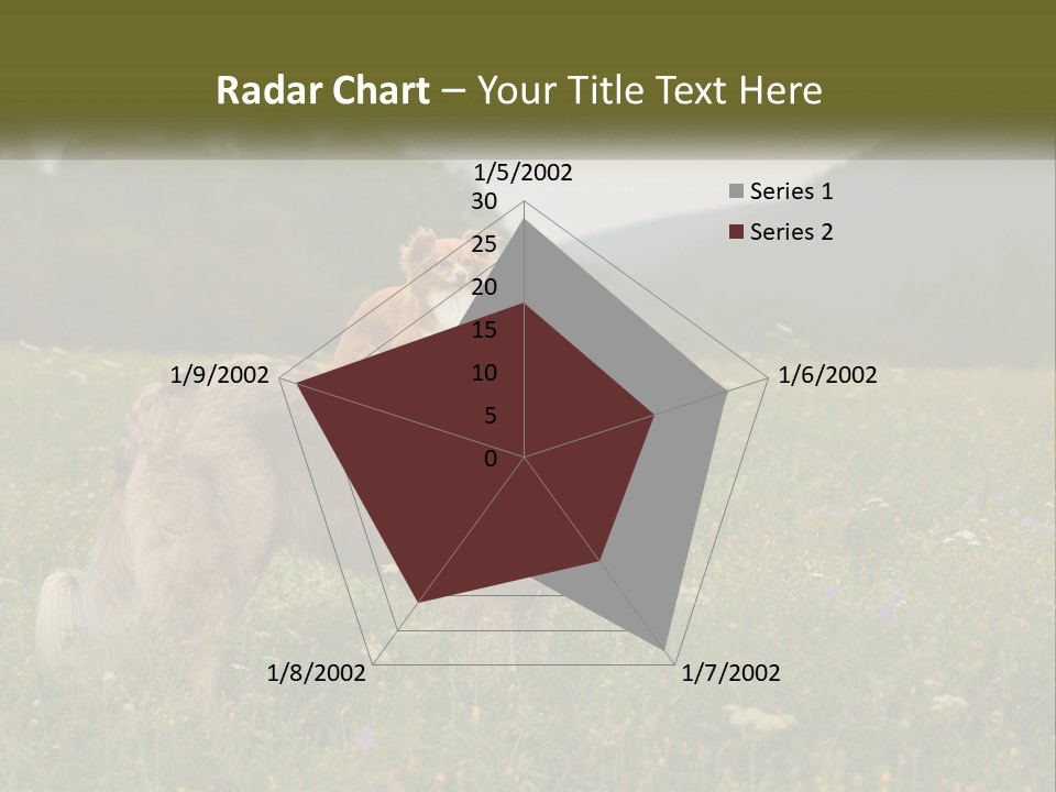 Two Dogs Are Standing In A Field Of Grass PowerPoint Template