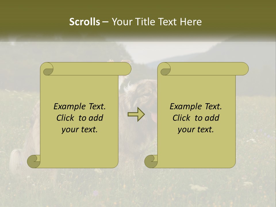 Two Dogs Are Standing In A Field Of Grass PowerPoint Template