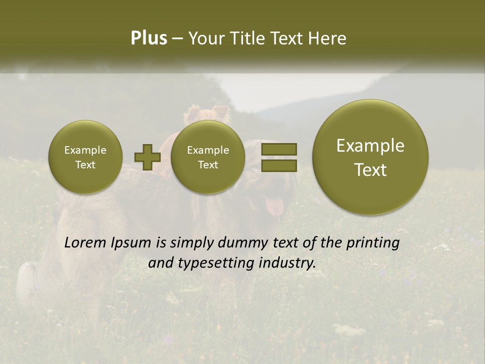Two Dogs Are Standing In A Field Of Grass PowerPoint Template