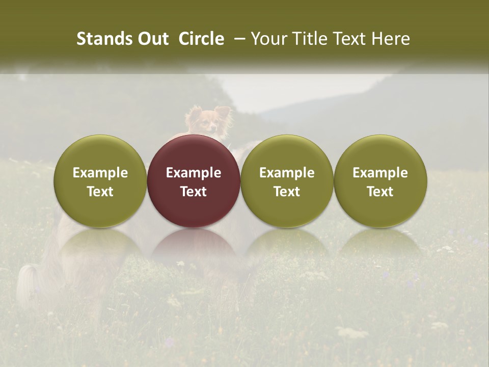 Two Dogs Are Standing In A Field Of Grass PowerPoint Template