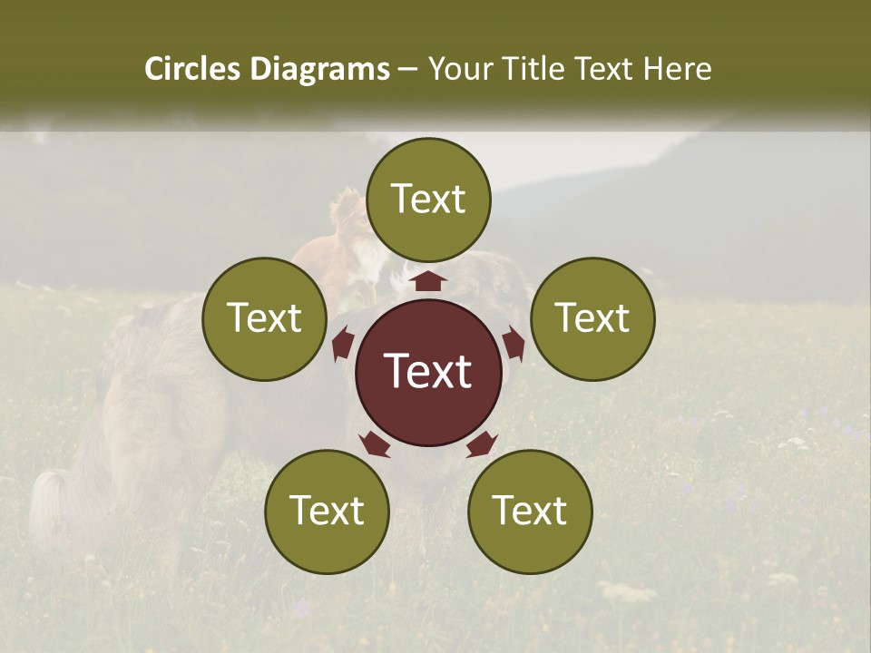 Two Dogs Are Standing In A Field Of Grass PowerPoint Template