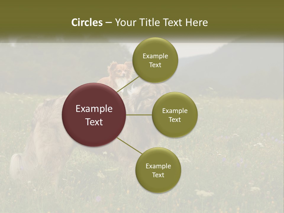 Two Dogs Are Standing In A Field Of Grass PowerPoint Template