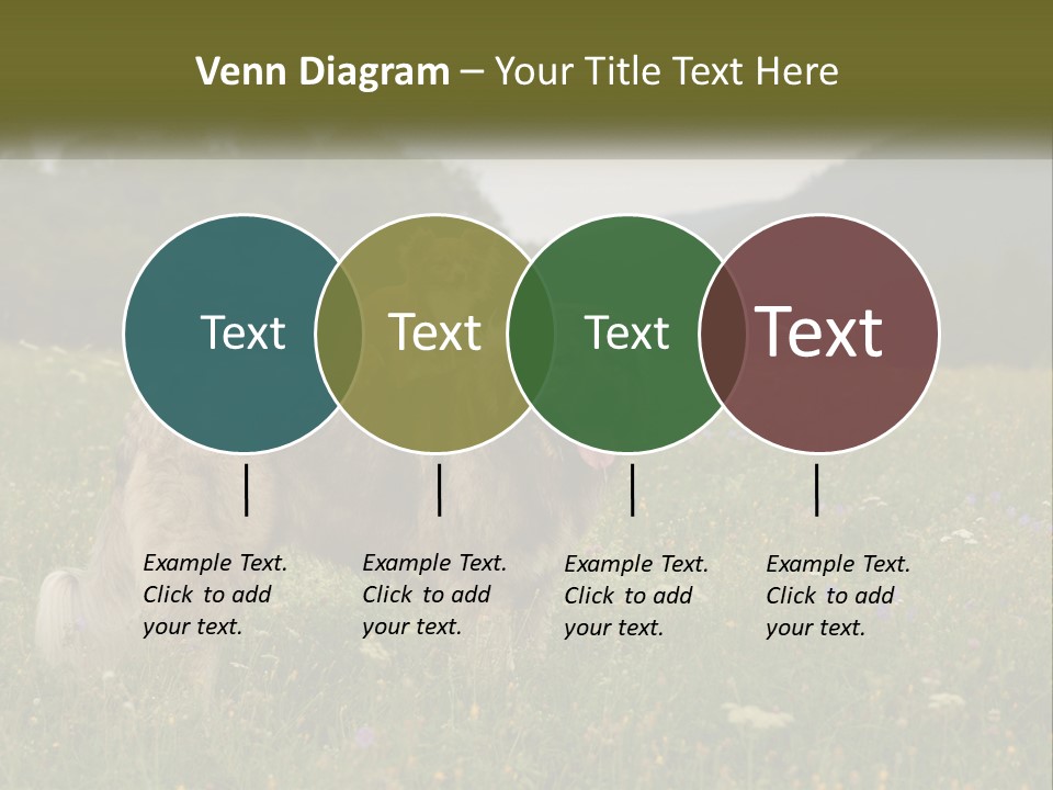 Two Dogs Are Standing In A Field Of Grass PowerPoint Template