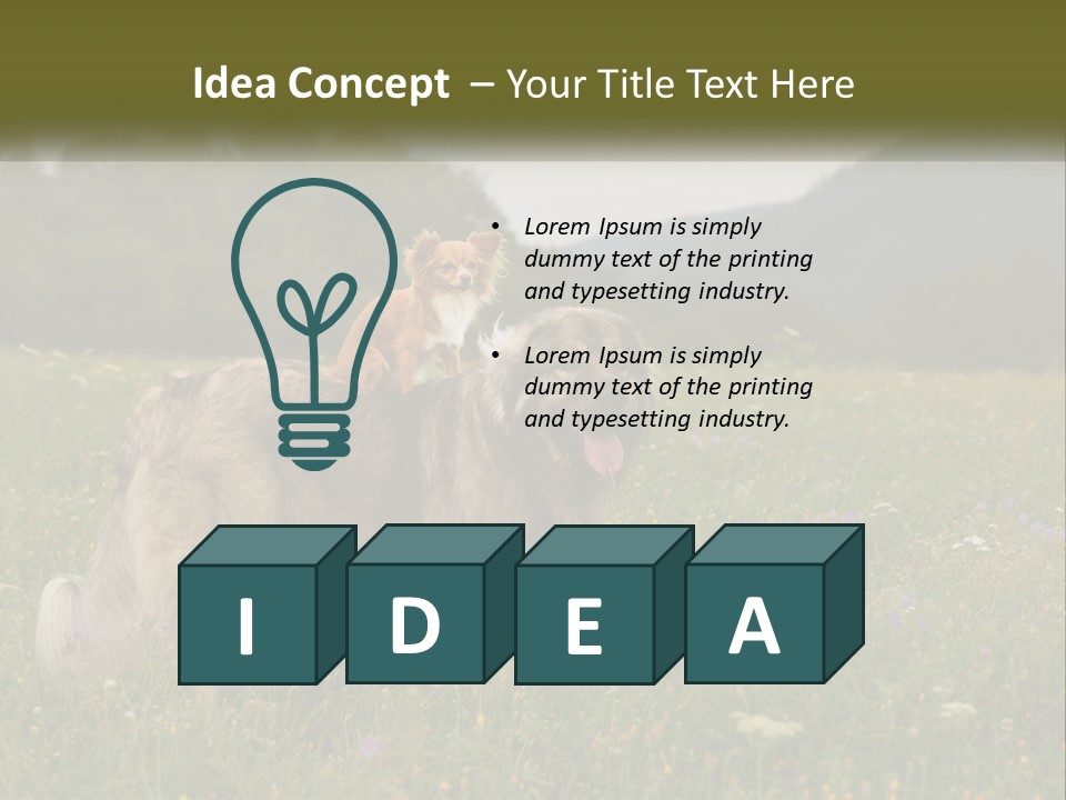 Two Dogs Are Standing In A Field Of Grass PowerPoint Template