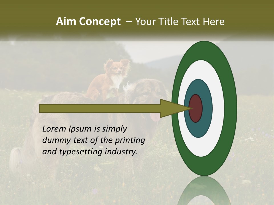 Two Dogs Are Standing In A Field Of Grass PowerPoint Template