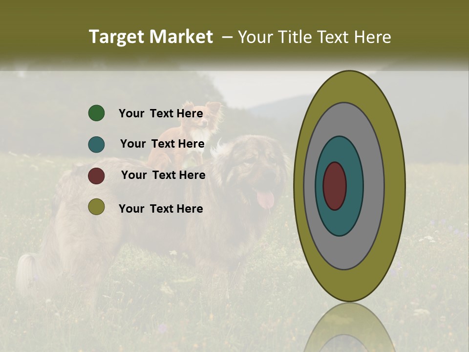 Two Dogs Are Standing In A Field Of Grass PowerPoint Template