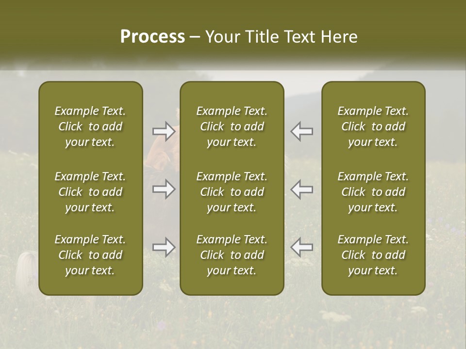 Two Dogs Are Standing In A Field Of Grass PowerPoint Template