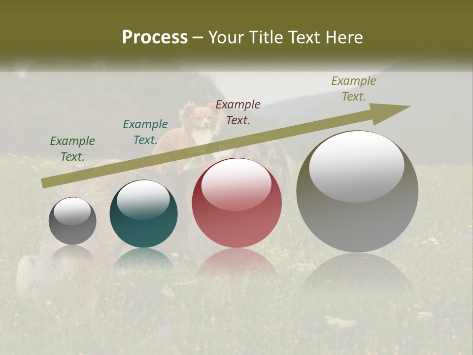 Two Dogs Are Standing In A Field Of Grass PowerPoint Template