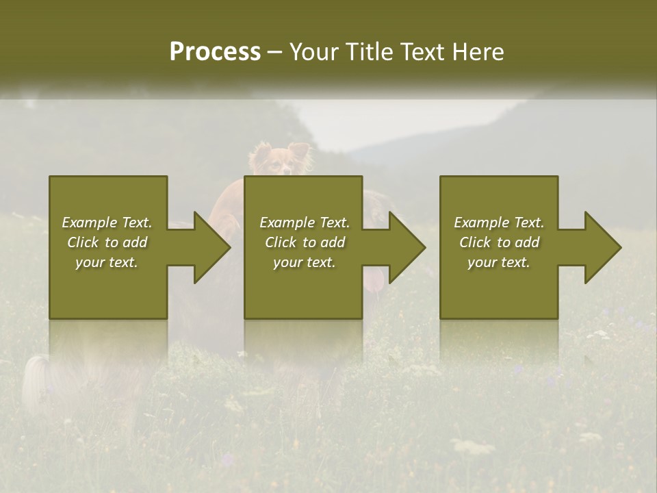 Two Dogs Are Standing In A Field Of Grass PowerPoint Template