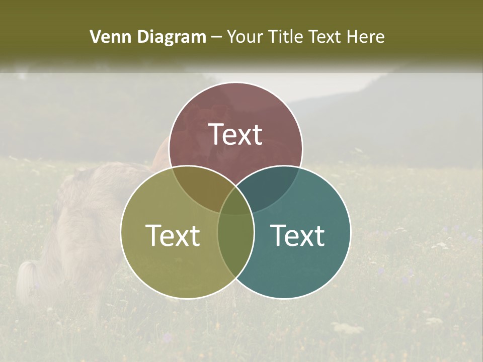 Two Dogs Are Standing In A Field Of Grass PowerPoint Template